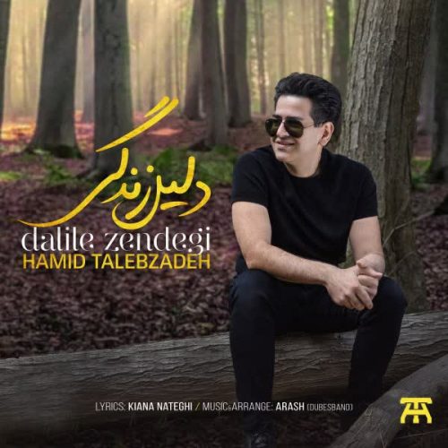 آهنگ دلیل زندگی از حمید طالب زاده دانلود آهنگ جدید دلیل زندگی از حمید طالب زاده دانلود آهنگh جدید دلیل زندگی از حمید طالب زاده