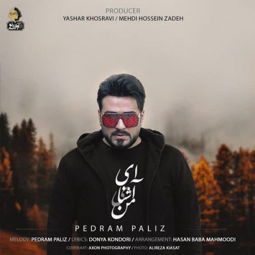 دانلود آهنگ ای آشنای من از پدرام پالیز فاز موزیک
