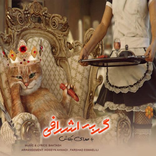 دانلود آهنگ گربه ی اشرافی از بکتاش