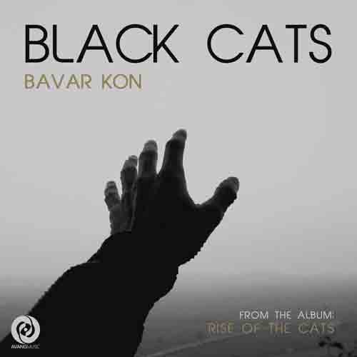 Download New Music Bavar Kon By Black Cats دانلود آهنگ باور کن از بلکتس