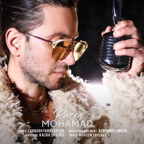 Download New Music Paeez By Mohamad دانلود آهنگ پاییز از محمد