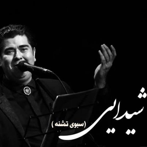 دانلود آهنگ شیدایی سالار عقیلی