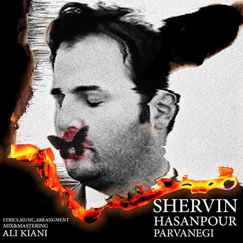 دانلود آهنگ پروانگی از شروین