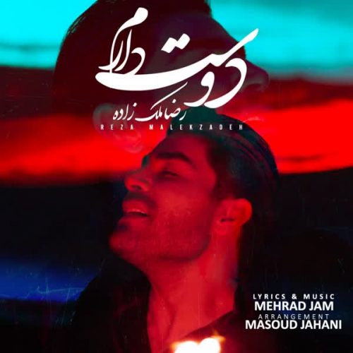 موزیک منتشر شده رضا ملک زاده بنام دوست دارم دانلود آهنگ دوست دارم از رضا ملک زاده