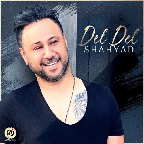 موزیک منتشر شده شهیاد بنام دل دل دانلود آهنگ دل دل از شهیاد