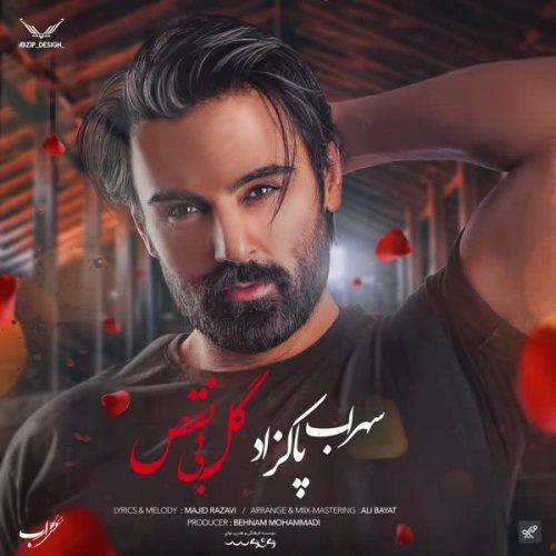 موزیک منتشر شده سهراب پاکزاد بنام گل بی نقص دانلود آهنگ گل بی نقص از سهراب پاکزاد