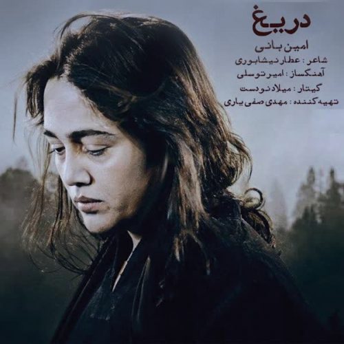 موزیک منتشر شده امین بانی بنام دریغ آهنگ جدید دریغ از امین بانی
