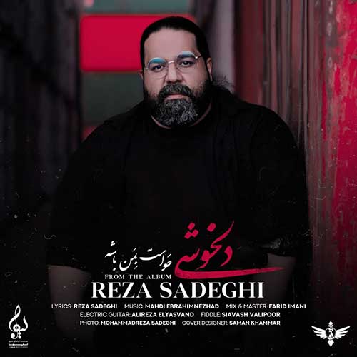موزیک منتشر شده رضا صادقی بنام دلخوشی دانلود آهنگ دلخوشی از رضا صادقی