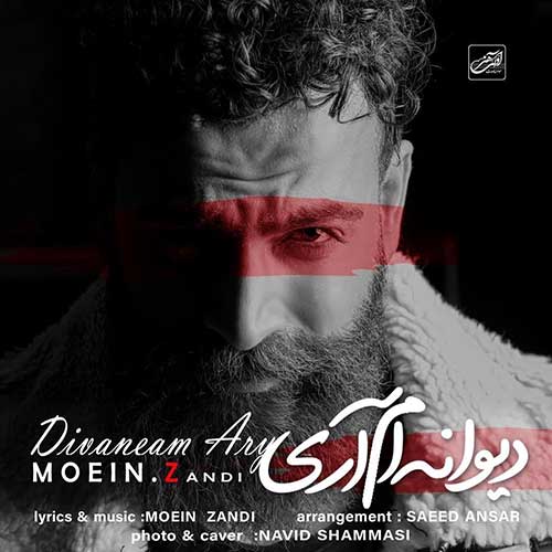 دانلود آهنگ جدید دیوانه ام آری از معین زد