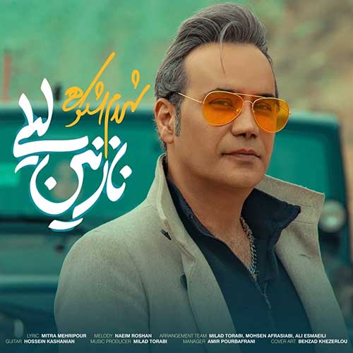 موزیک شهرام شکوهی بنام نازنین لیلی دانلود آهنگ نازنین لیلی از شهرام شکوهی