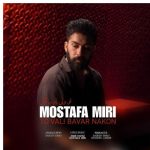 دانلود آهنگ مصطفی میری به نام تو ولی باور نکن